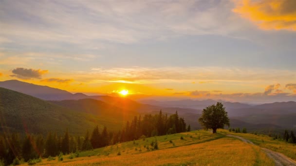 Floresta Montanhosa Fundo Pôr Sol Prazo Validade — Vídeo de Stock