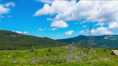 Kuru bir ağaç ve hızlı kabarık bulutlar ile fantastik dağ manzarası. Timelapse.