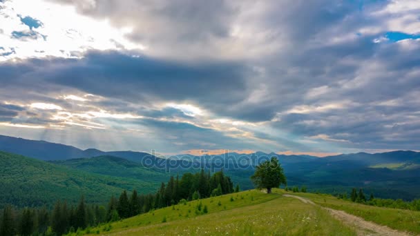 Sunset Sky Mountains Lone Tree Dirt Road Foreground Clouds Background — Stock Video