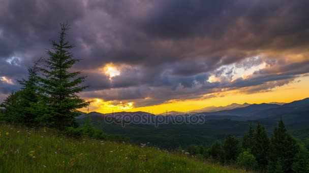 Hegyvidéki Erdők Háttérben Naplemente Drámai Napnyugtakor Timelapse — Stock videók