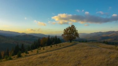 Sonbahar. Bir tek ağaç ve toprak yol ön planda ve arka planda bulutlar ile dağlarda günbatımı gökyüzü. Timelapse.