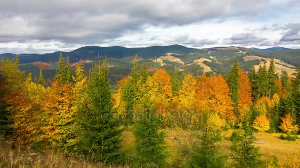 Jesienią Fantastyczne Góry Lasem Kolorowe Drzewa Szybko Puszyste Chmury Cienie — Wideo stockowe