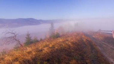 Sonbahar. Misty sabah dağlara bir renkli ağaçlar, eski çit ve toprak yol. Timelapse.