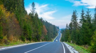Sonbahar. Dağ orman yoluyla yol yukarı ve aşağı. Timelapse.