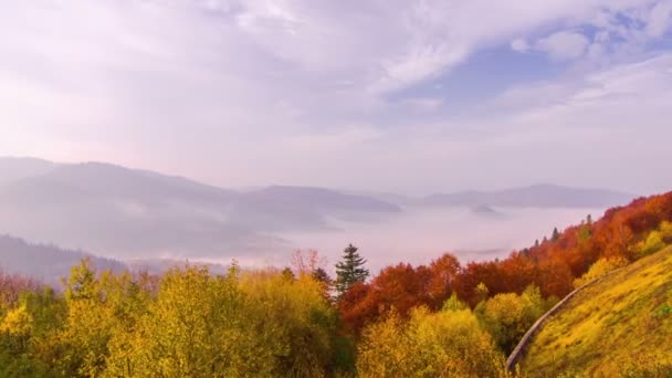 Sonbahar Misty Sabah Dağlara Sis Bulut Dağ Vadisi Manzara Timelapse — Stok video