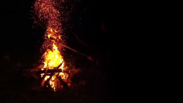 Chamas Fogo Com Faíscas Fogueira Movimento Lento — Vídeo de Stock