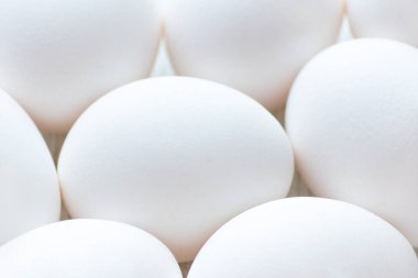 Beyaz yumurta closeup ile seçici odak, taze