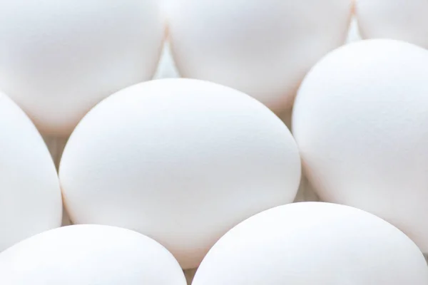 White eggs closeup with selective focus, fresh — Stock Photo, Image