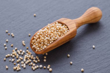 siyah arka plan, seçici odak ahşap bir vurgunun içinde mor kabarık