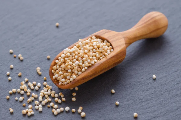 siyah arka plan, seçici odak ahşap bir vurgunun içinde mor kabarık