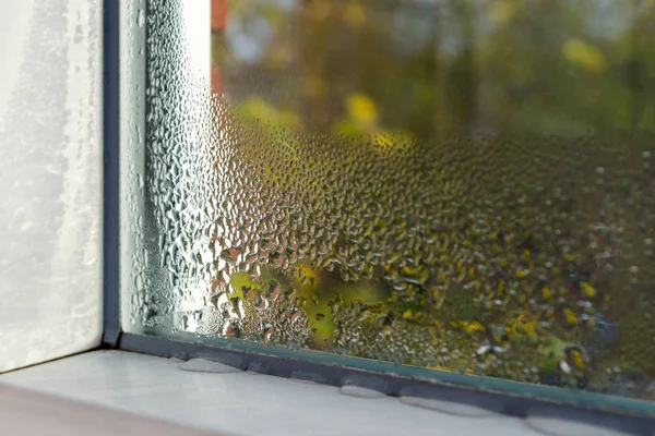Window with water drops closeup, inside, selective focus — Stock Photo, Image
