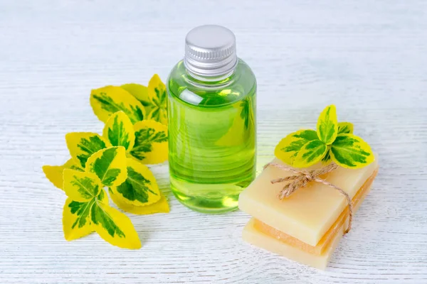 Láhev organické tekuté mýdlo a domácí bylinné mýdlo s rostlinami — Stock fotografie