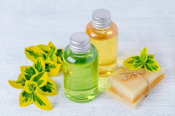 Dvě láhve Přírodní šampon a mýdlo ručně vyráběné organické vlasy s rostlinami — Stock fotografie