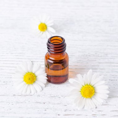 papatya yağı taze ve kurutulmuş papatya çiçeği ile bir ml şişe