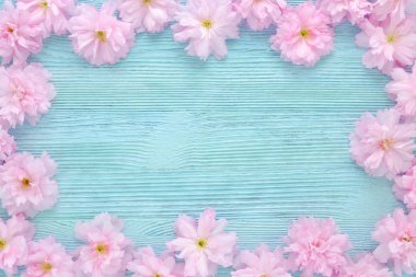 pembe kiraz taze çiçekli çerçeve mavi ahşap arka plan düz