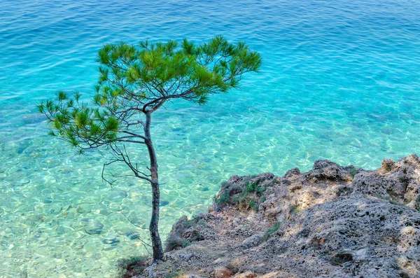 Yaz aylarında Brela, Hırvatistan. Makarska Riviera, Dalmaçya ve kristal berraklığında Adriyatik Denizi