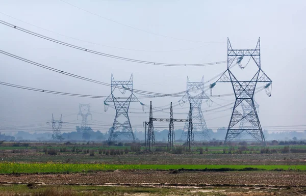 High voltage transmission towers line as gigantic owls
