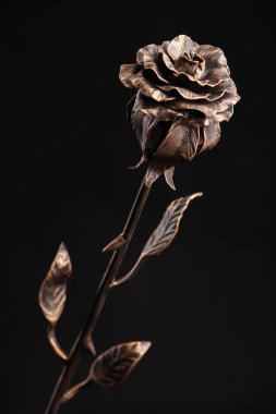 Metal bronz renk siyah bir zemin üzerine yapılan gül