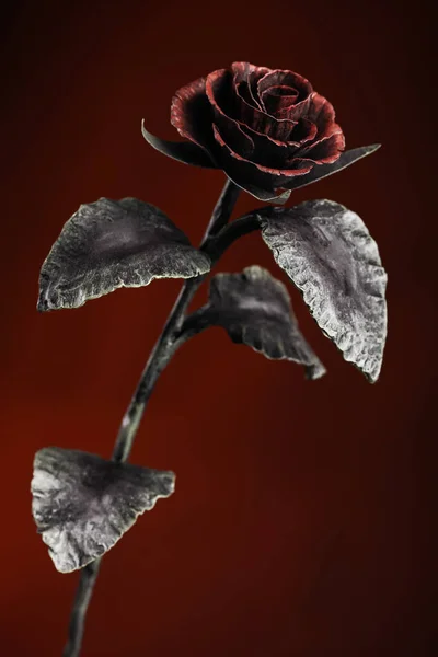 La rosa sobre el fondo rojo oscuro . — Foto de Stock