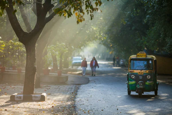 Tuk-tuk ağaçları ile yolda.