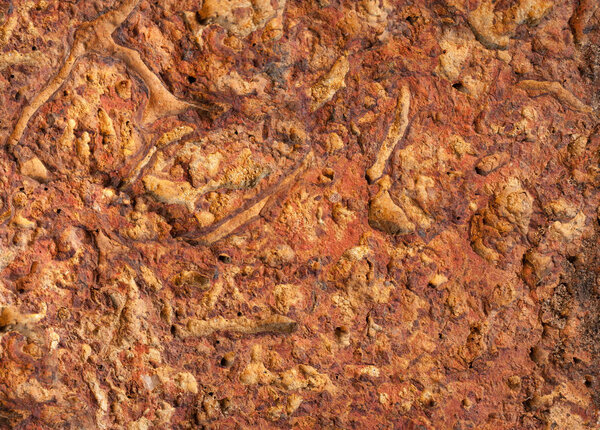 Текстурированная поверхность почвы красного цвета известняка
