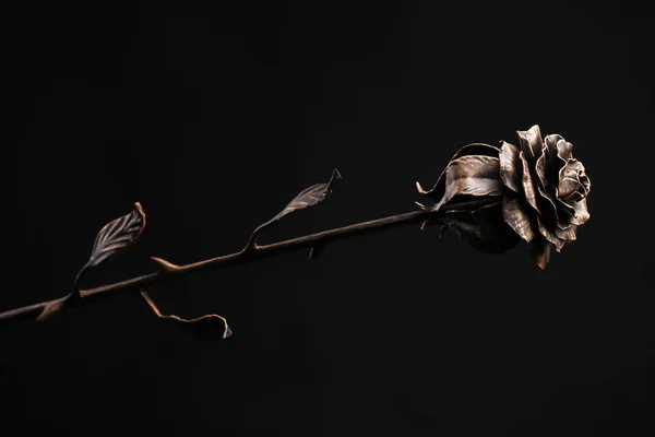 La rose de couleur bronze sur fond noir — Photo