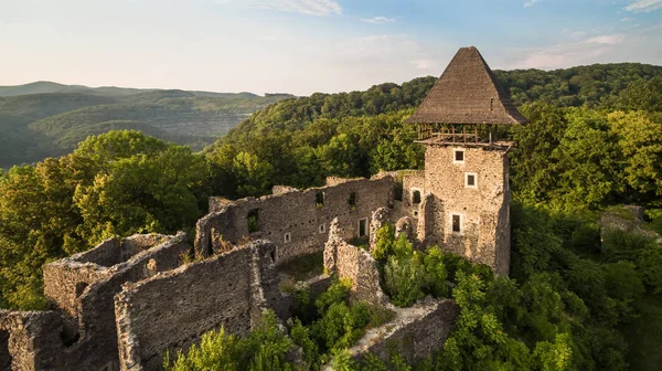 Las ruinas de un antiguo castillo construido en el siglo XIII - Nevit — Foto de Stock