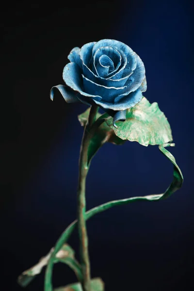 Niebieska róża na ciemnoniebieskim tle — Zdjęcie stockowe