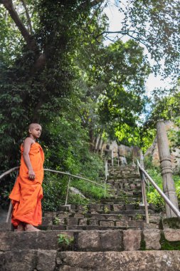 Genç Sri Lankalı keşiş Buda 'nın taş basamaklarında duruyor. 