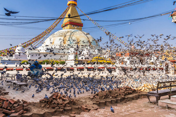 March 25, 2020. Kathmandu, Nepal. The Stupa Boudha closed on quarantine. A large flock of pigeons in the foreground.