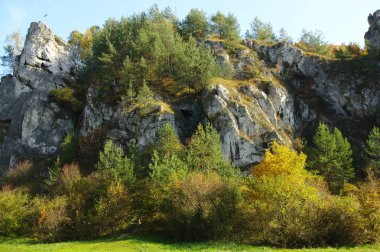 Sonbahar Krakow-Czestochowa Upland on