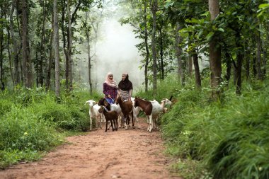 Keçiler herded eve iki Müslüman kadınlar vardı.