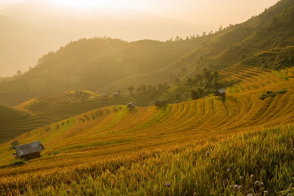 Vietname Hora da manhã Muountain terraços de arroz em Kim noi Village — Fotografia de Stock