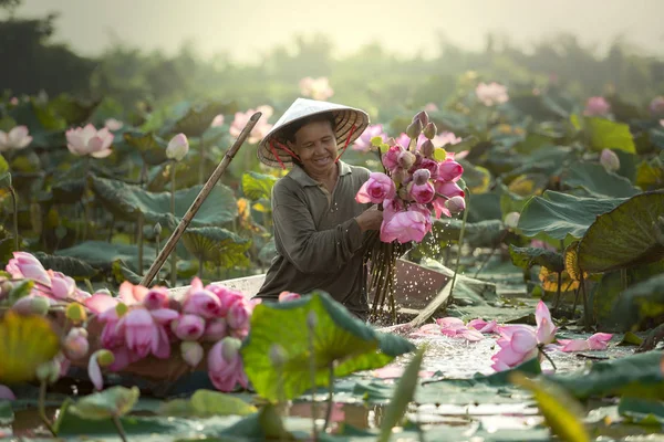 Lotus fleur sur la piscine — Photo