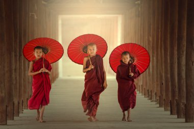 Burmaese üç acemi rahipler yürüyüş 