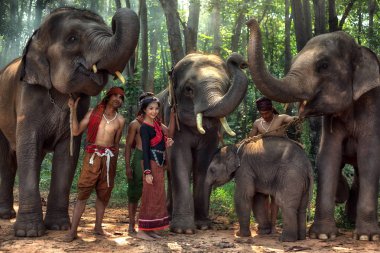Asya, Kui genç kadın ve erkek elephan ile