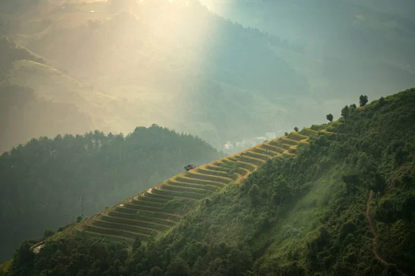 Rice terraces on the mountain — Stock Photo, Image