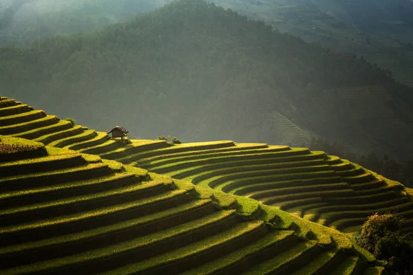 Os belos terraços de arroz — Fotografia de Stock