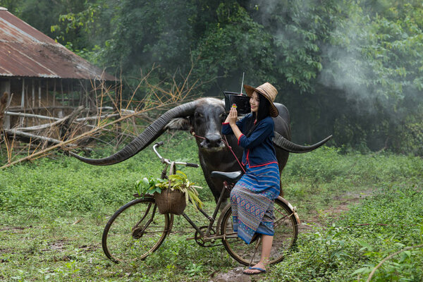 farmer woman and buffalo.