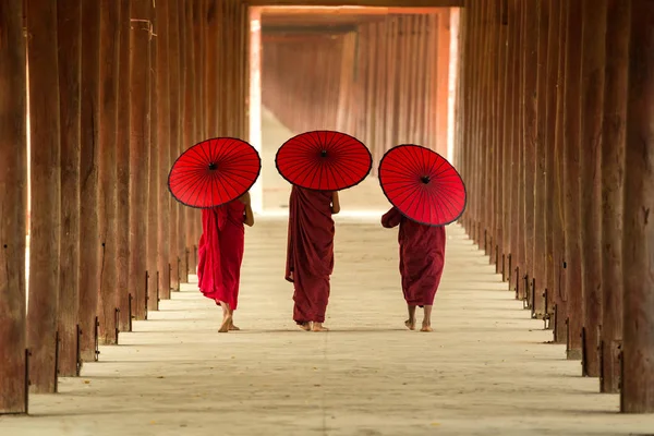 Arbre moines novices marchant dans le temple de la pagode — Photo