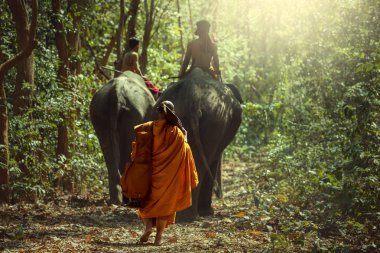 Monk veya yürüyüş filin arkasında rahip 