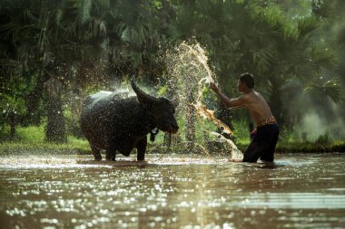 Tay köylü erkekler Texas'ın için banyo. Sonra 
