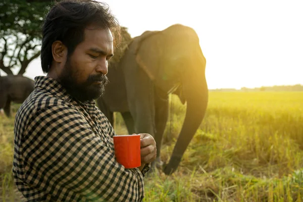 Hora do café Bonito homem com elefante — Fotografia de Stock