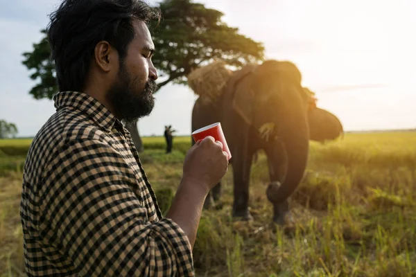 Les hommes avec une tasse boivent du café Il y a un éléphant — Photo