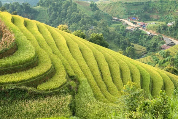 Campo de arroz em terraços Mu Cang Chai — Fotografia de Stock