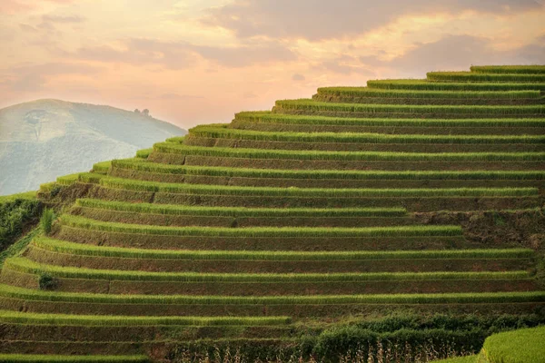 Рисовое поле на террасах Mu Cang Chai — стоковое фото