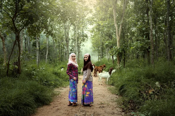 Mujeres vestidas con vestimenta tradicional musulmana Trabajo de cabra en la naturaleza —  Fotos de Stock