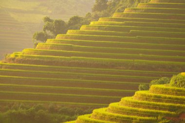 Güzel Vietnam manzara pirinç Teras dağ