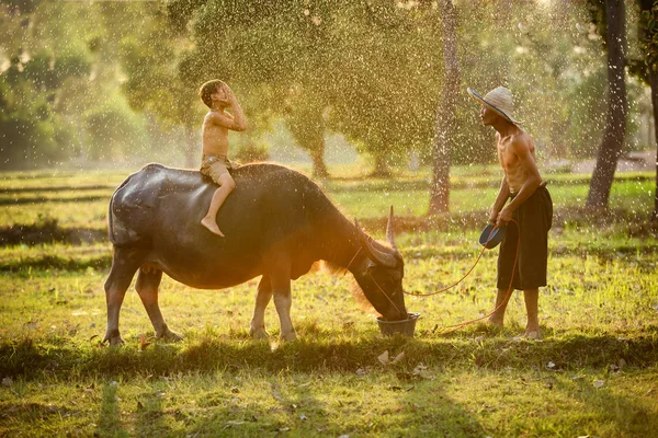 ASIAN O agricultor familiar pai e filho — Fotografia de Stock