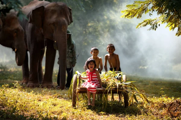 Enfants Jouer avec des amis sur l'éléphant parc sauvage et l'éléphant — Photo